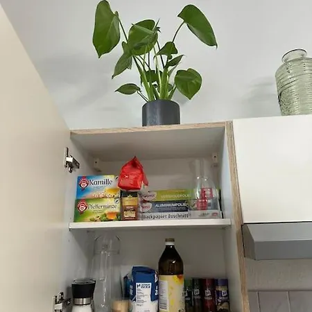 Luxus Am Leipziger Zoo Apartment Leipzig